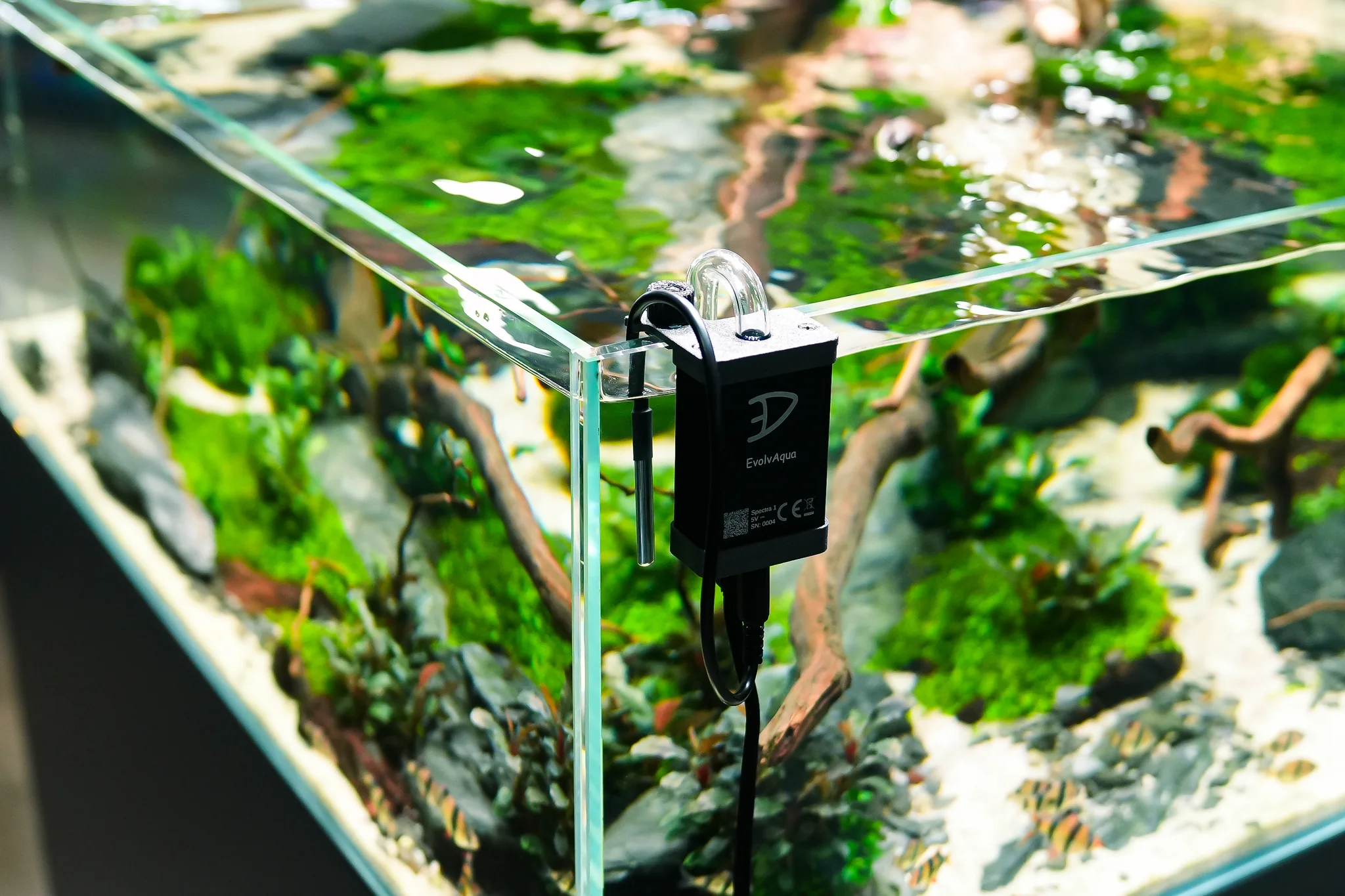 Planted Aquarium with EvolvAqua Spectra